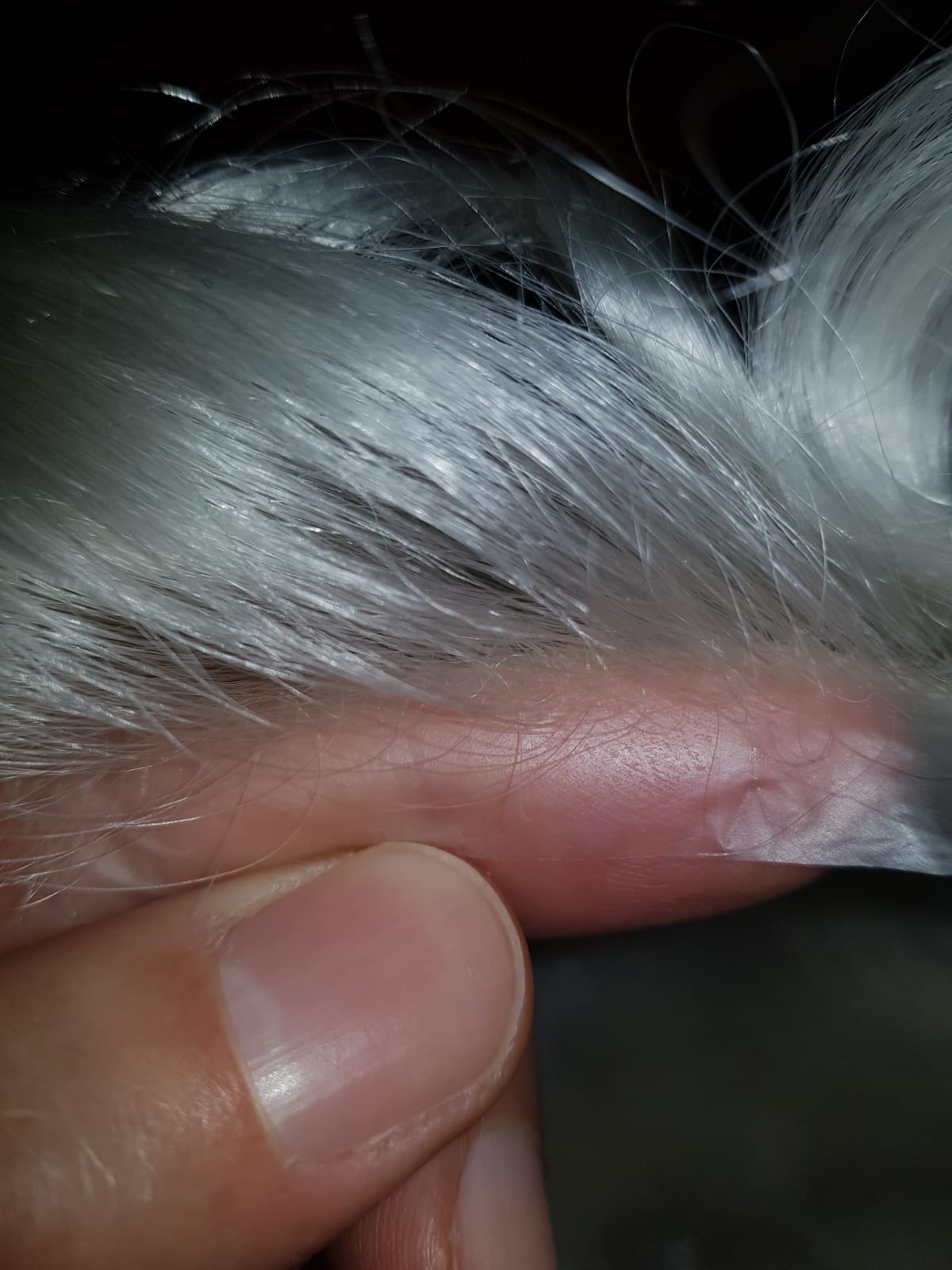 Patch Capelli VLoop